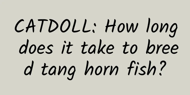 CATDOLL: How long does it take to breed tang horn fish?