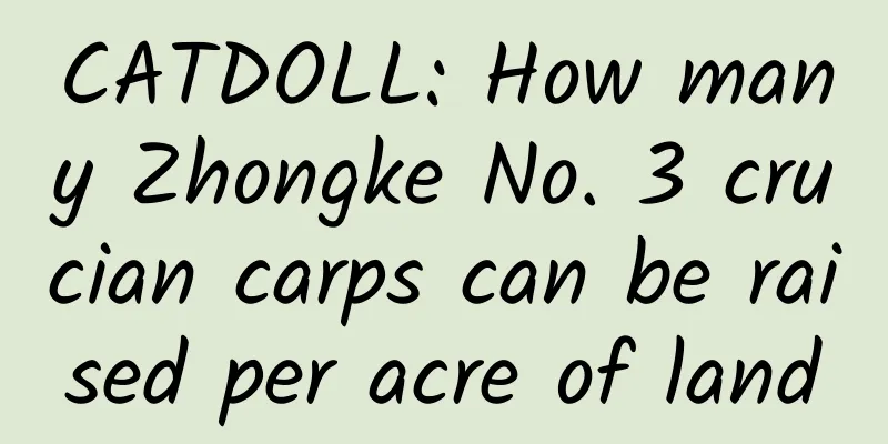 CATDOLL: How many Zhongke No. 3 crucian carps can be raised per acre of land