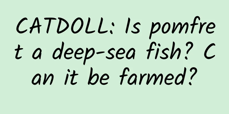 CATDOLL: Is pomfret a deep-sea fish? Can it be farmed?