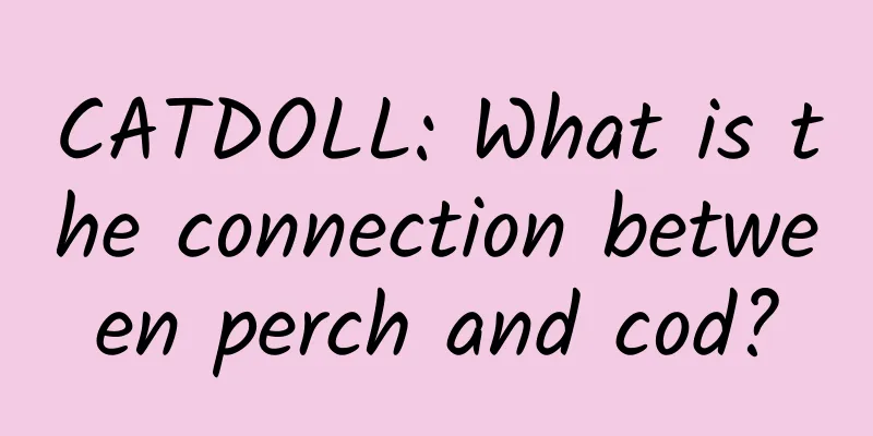 CATDOLL: What is the connection between perch and cod?