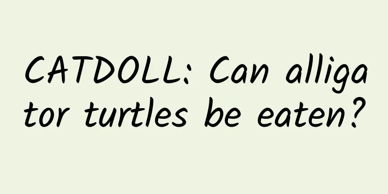 CATDOLL: Can alligator turtles be eaten?