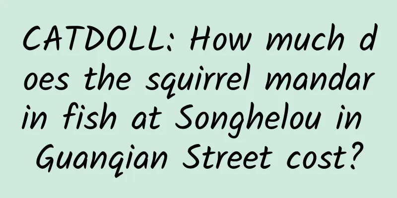 CATDOLL: How much does the squirrel mandarin fish at Songhelou in Guanqian Street cost?