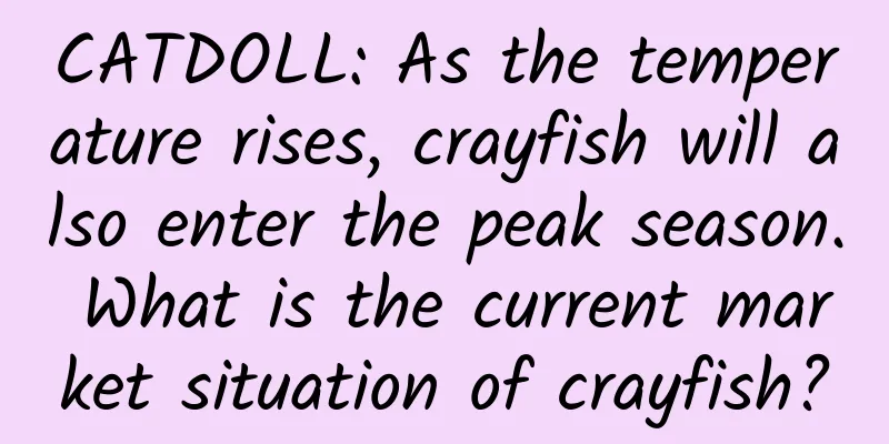 CATDOLL: As the temperature rises, crayfish will also enter the peak season. What is the current market situation of crayfish?