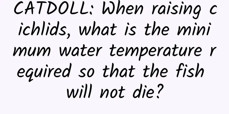 CATDOLL: When raising cichlids, what is the minimum water temperature required so that the fish will not die?