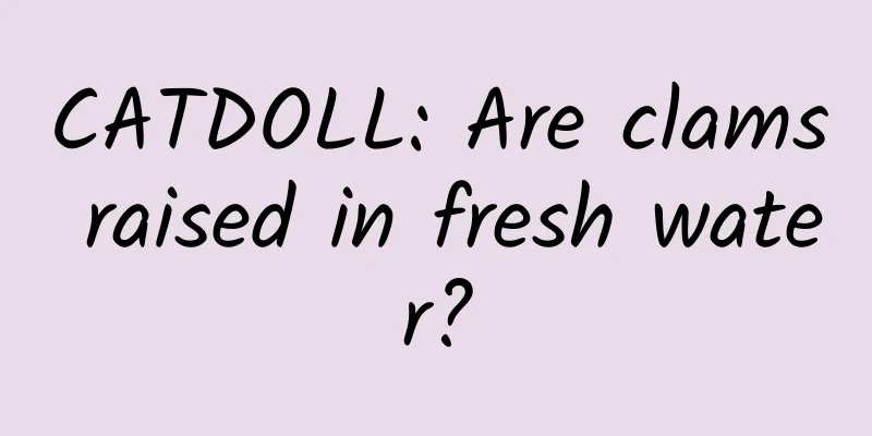 CATDOLL: Are clams raised in fresh water?