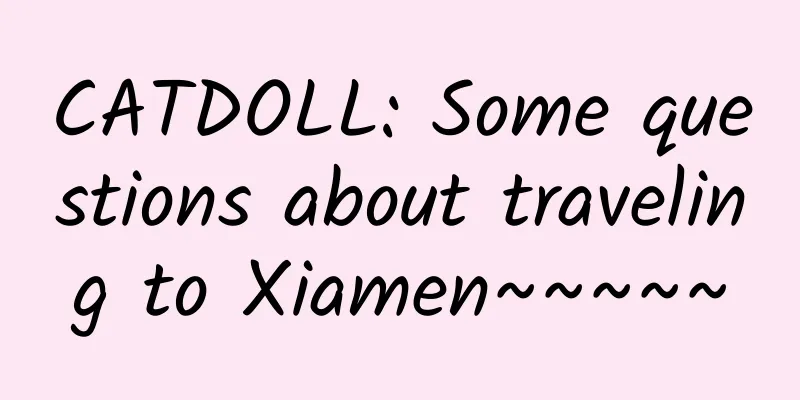 CATDOLL: Some questions about traveling to Xiamen~~~~~