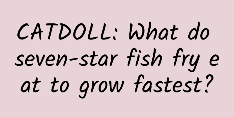CATDOLL: What do seven-star fish fry eat to grow fastest?