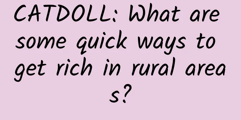 CATDOLL: What are some quick ways to get rich in rural areas?