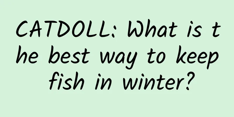 CATDOLL: What is the best way to keep fish in winter?