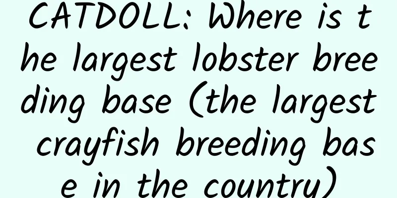 CATDOLL: Where is the largest lobster breeding base (the largest crayfish breeding base in the country)