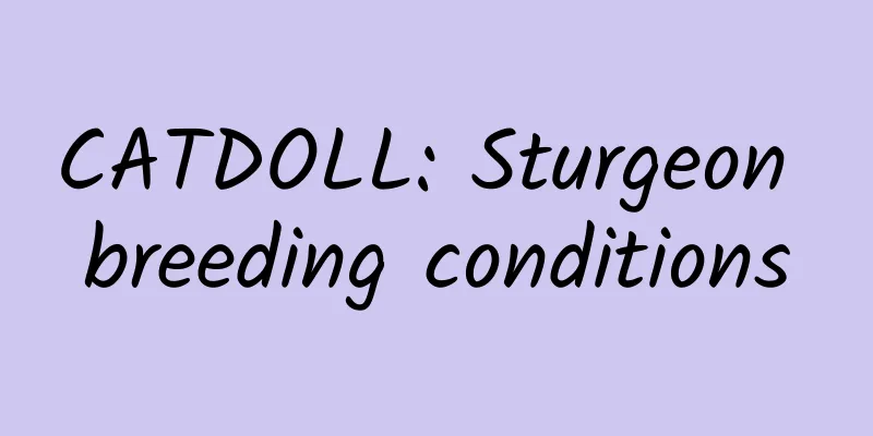 CATDOLL: Sturgeon breeding conditions