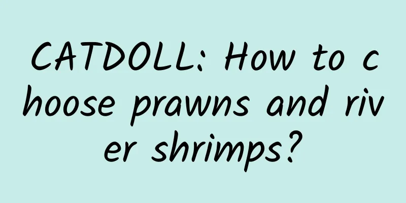 CATDOLL: How to choose prawns and river shrimps?