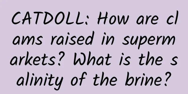 CATDOLL: How are clams raised in supermarkets? What is the salinity of the brine?