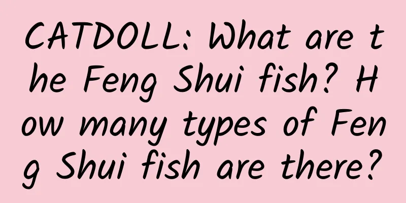 CATDOLL: What are the Feng Shui fish? How many types of Feng Shui fish are there?