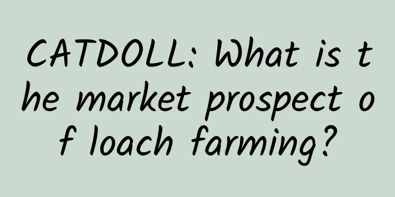 CATDOLL: What is the market prospect of loach farming?