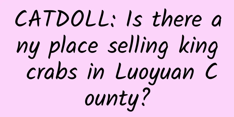CATDOLL: Is there any place selling king crabs in Luoyuan County?