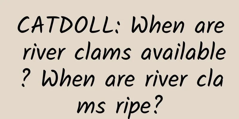 CATDOLL: When are river clams available? When are river clams ripe?