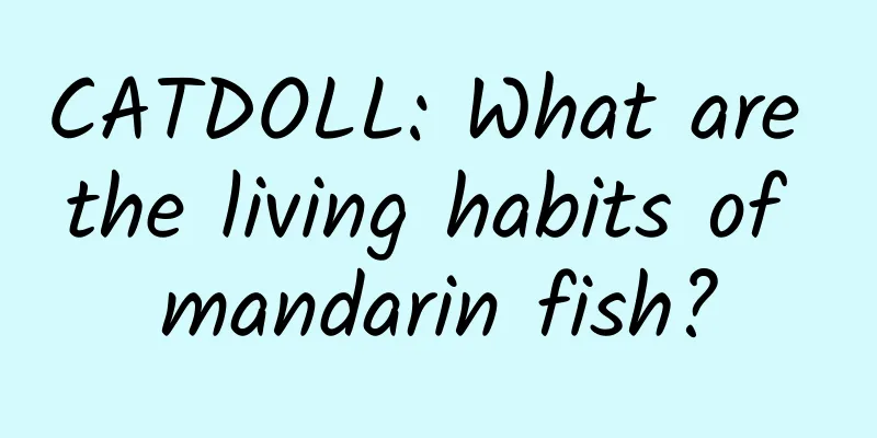CATDOLL: What are the living habits of mandarin fish?