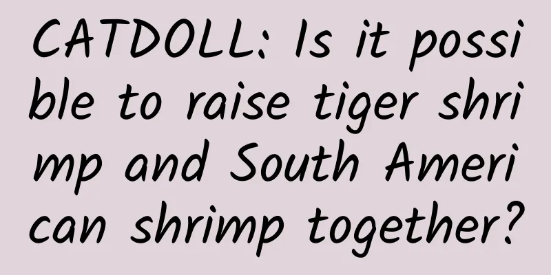 CATDOLL: Is it possible to raise tiger shrimp and South American shrimp together?