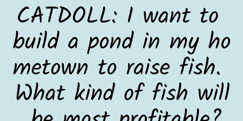 CATDOLL: I want to build a pond in my hometown to raise fish. What kind of fish will be most profitable?