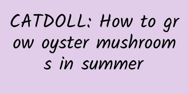 CATDOLL: How to grow oyster mushrooms in summer