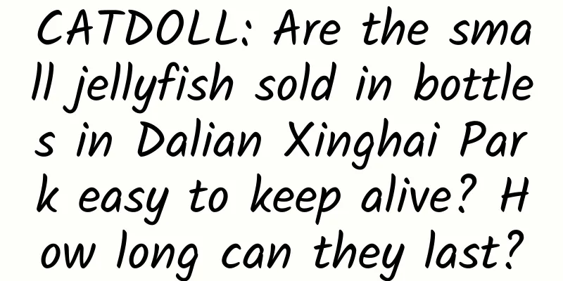 CATDOLL: Are the small jellyfish sold in bottles in Dalian Xinghai Park easy to keep alive? How long can they last?