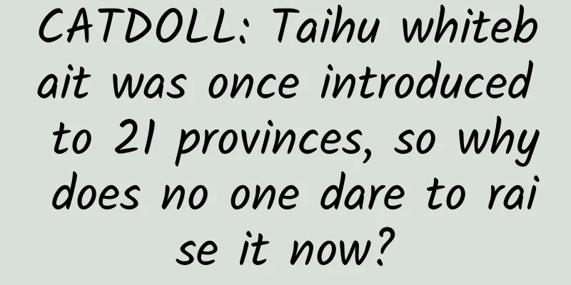 CATDOLL: Taihu whitebait was once introduced to 21 provinces, so why does no one dare to raise it now?