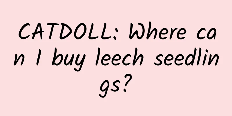 CATDOLL: Where can I buy leech seedlings?