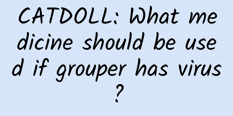CATDOLL: What medicine should be used if grouper has virus?