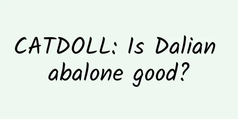 CATDOLL: Is Dalian abalone good?