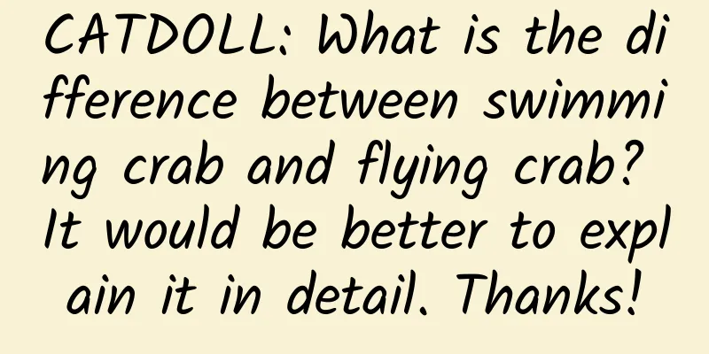 CATDOLL: What is the difference between swimming crab and flying crab? It would be better to explain it in detail. Thanks!