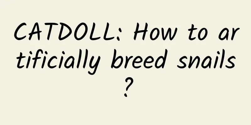 CATDOLL: How to artificially breed snails?