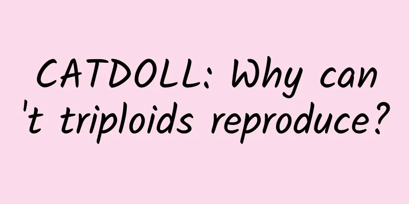 CATDOLL: Why can't triploids reproduce?