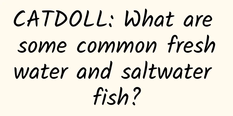 CATDOLL: What are some common freshwater and saltwater fish?