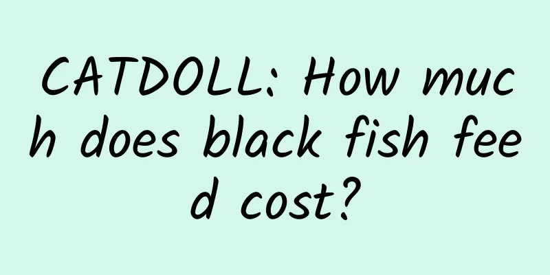 CATDOLL: How much does black fish feed cost?