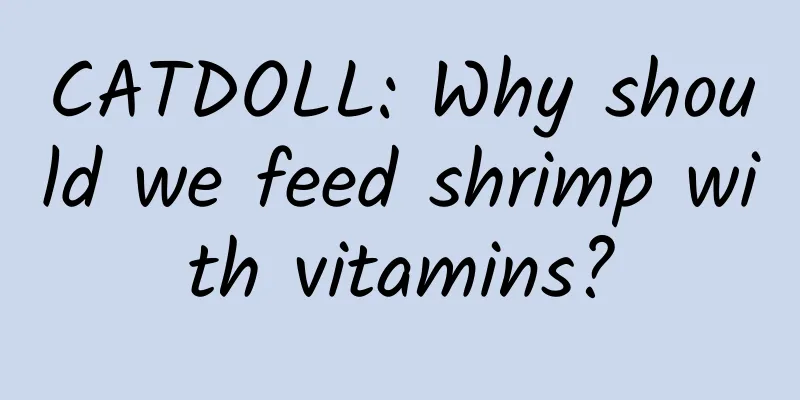 CATDOLL: Why should we feed shrimp with vitamins?
