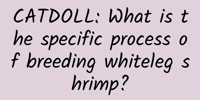 CATDOLL: What is the specific process of breeding whiteleg shrimp?