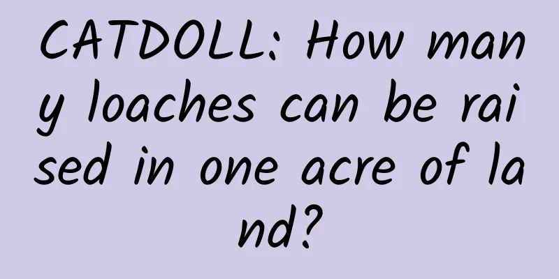 CATDOLL: How many loaches can be raised in one acre of land?