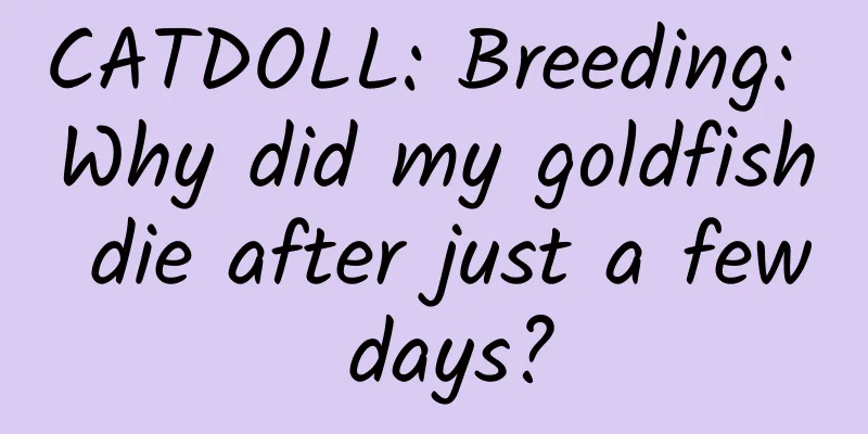 CATDOLL: Breeding: Why did my goldfish die after just a few days?