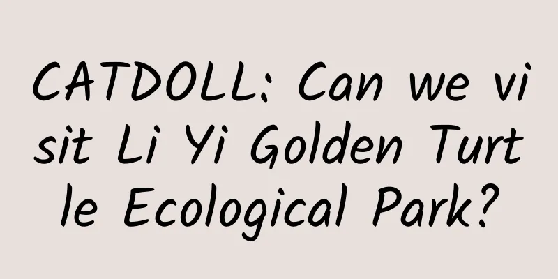 CATDOLL: Can we visit Li Yi Golden Turtle Ecological Park?