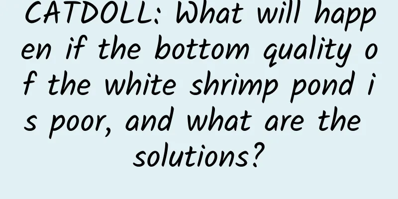 CATDOLL: What will happen if the bottom quality of the white shrimp pond is poor, and what are the solutions?