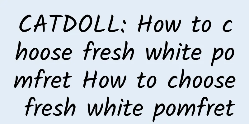 CATDOLL: How to choose fresh white pomfret How to choose fresh white pomfret