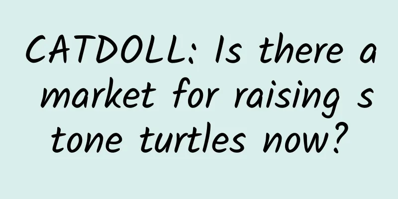 CATDOLL: Is there a market for raising stone turtles now?