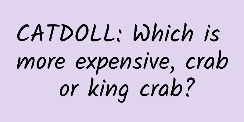 CATDOLL: Which is more expensive, crab or king crab?