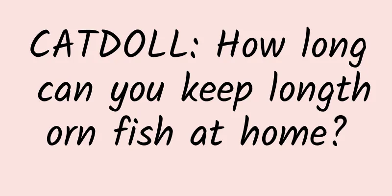 CATDOLL: How long can you keep longthorn fish at home?