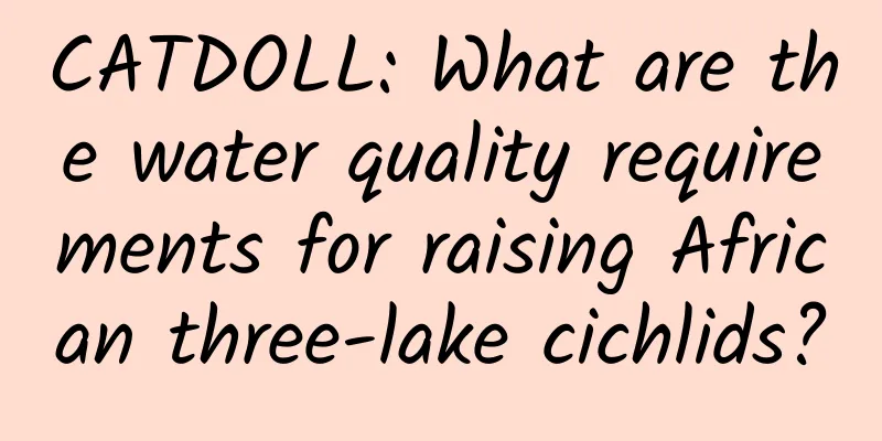 CATDOLL: What are the water quality requirements for raising African three-lake cichlids?