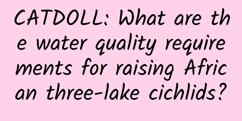 CATDOLL: What are the water quality requirements for raising African three-lake cichlids?