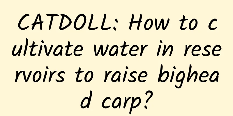 CATDOLL: How to cultivate water in reservoirs to raise bighead carp?