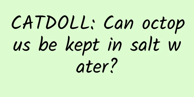 CATDOLL: Can octopus be kept in salt water?