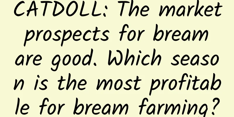 CATDOLL: The market prospects for bream are good. Which season is the most profitable for bream farming?